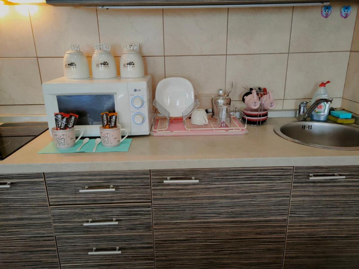 Vrnjačka Banja Apartman Jovanovic מראה חיצוני תמונה