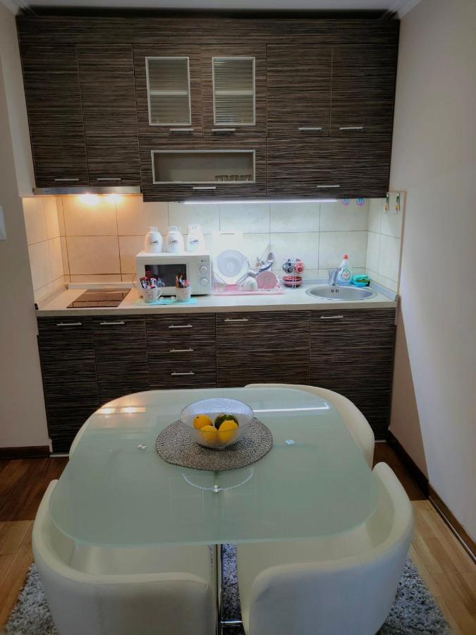 Vrnjačka Banja Apartman Jovanovic מראה חיצוני תמונה