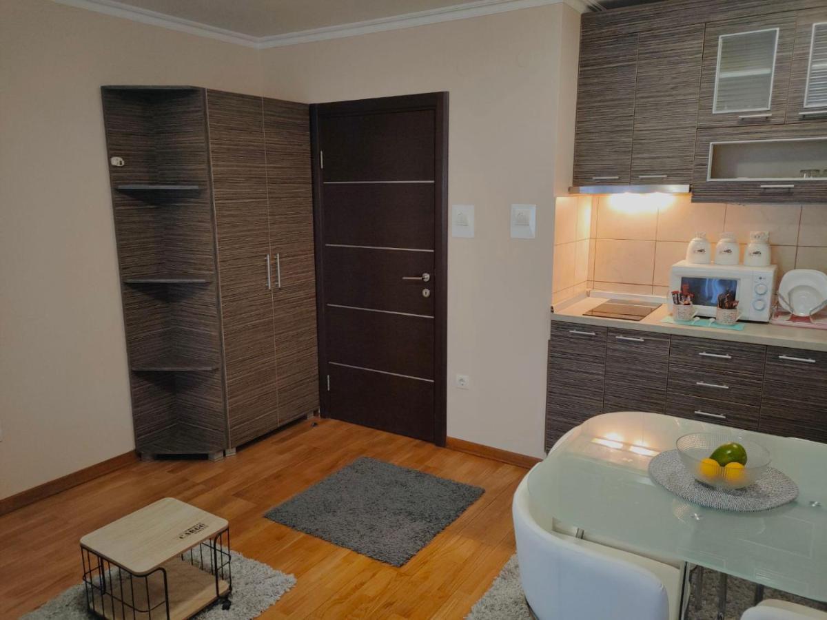 Vrnjačka Banja Apartman Jovanovic מראה חיצוני תמונה